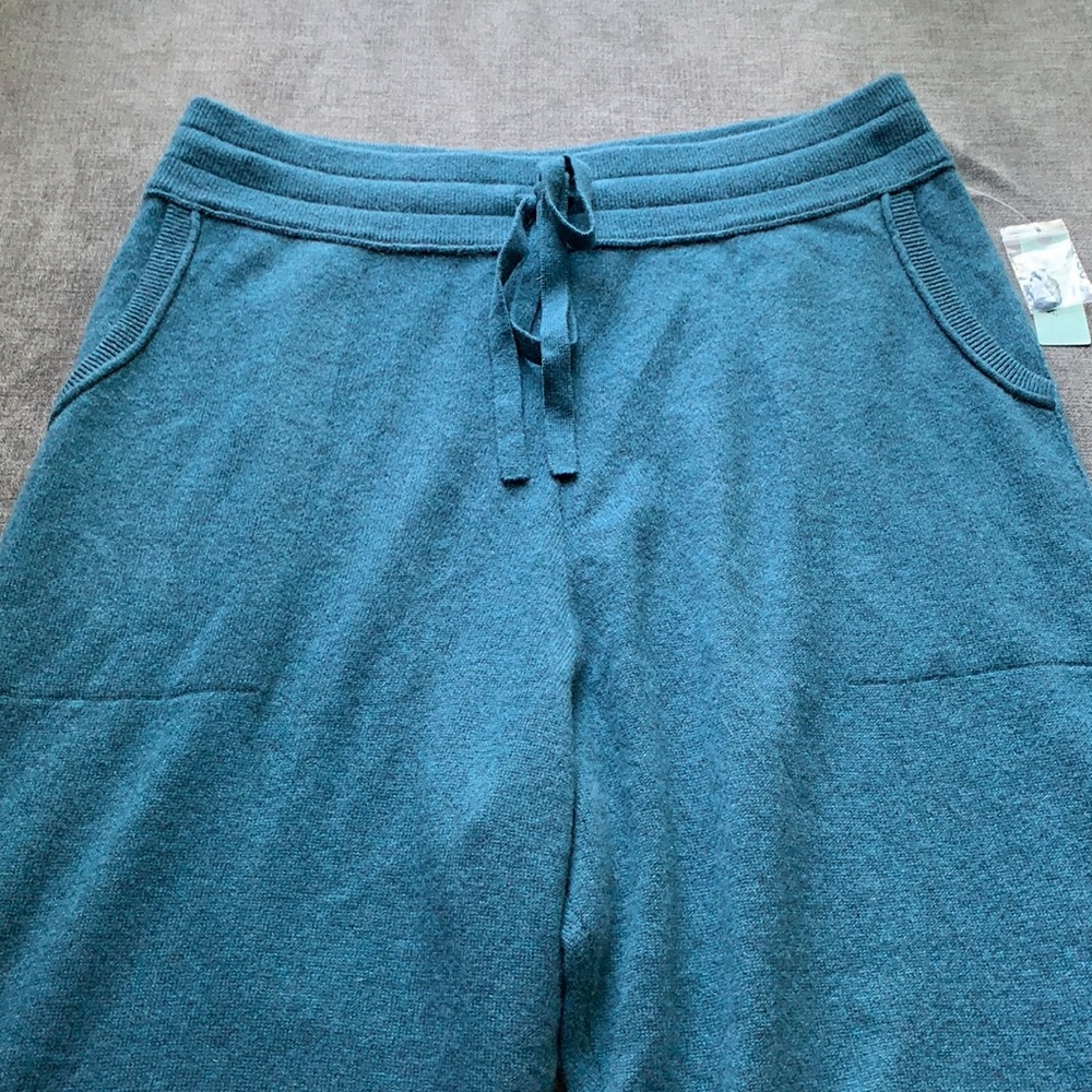 Anthropologie Emmeline Cashmere Joggers - Picture 4 of 9